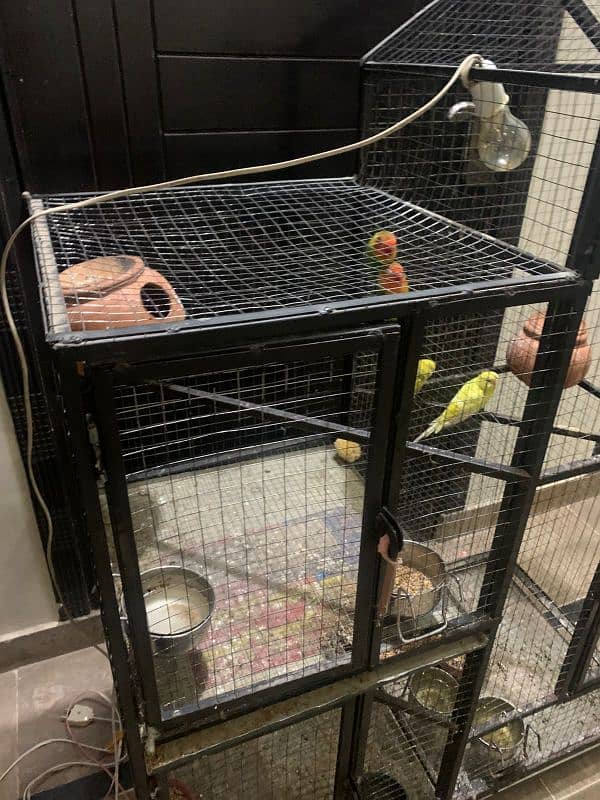 bird cage for sale 2