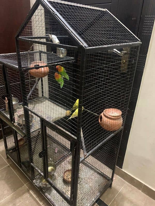 bird cage for sale 3