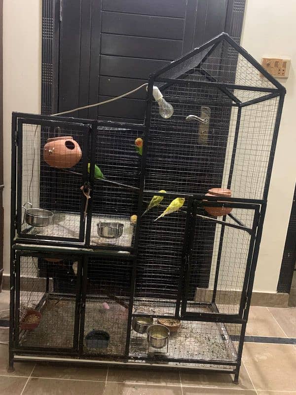 bird cage for sale 4