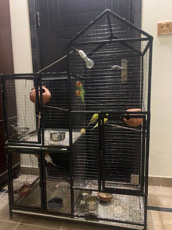 bird cage for sale 5