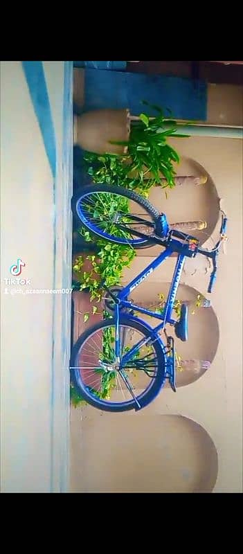 Phoenix cycle for sale only serious buyer can contract 0