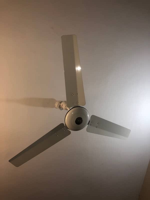 ROYAL FAN FOR SALE 2