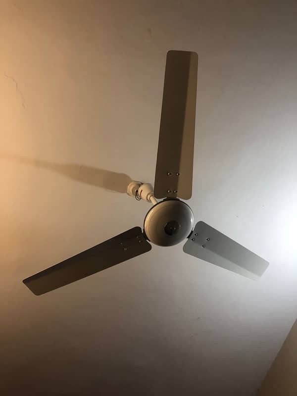 ROYAL FAN FOR SALE 6