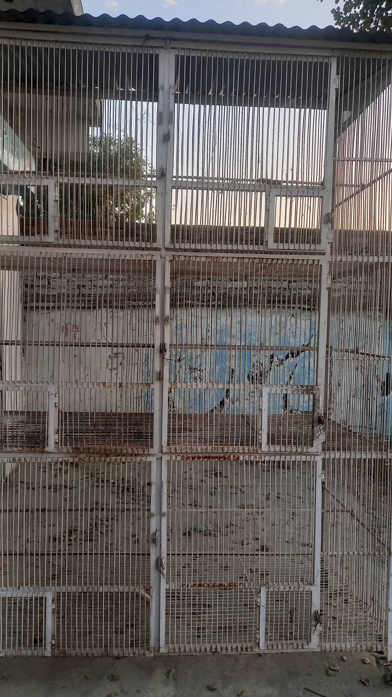 Birds Cage for Sale 1