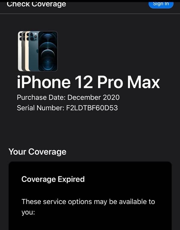 iPhone 12 Pro Max 256 GB 1