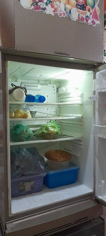 PEL Refrigerator 4