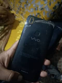 vivo