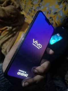 vivo