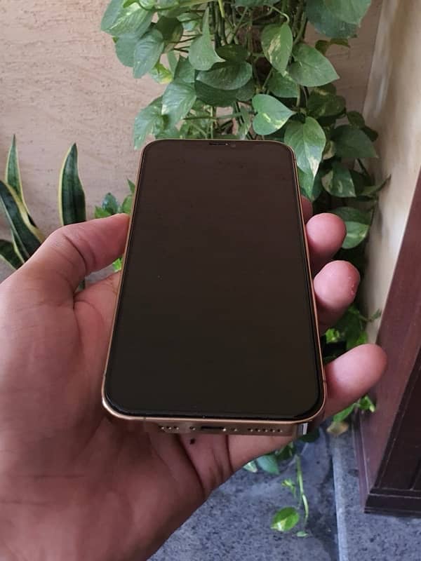 iPhone 12 pro 256gb Factory Unlocked 1