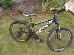 24" Mountain Cycle