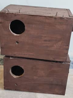 love birds kekar boxes