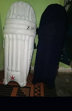 Pro Midz PAD + MRF Thai + single kit bag DSC