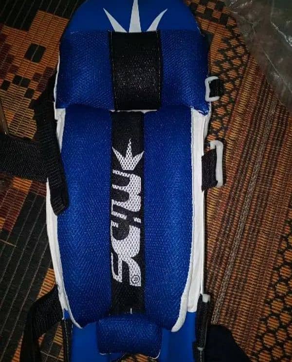 Pro Midz PAD + MRF Thai + single kit bag DSC 2