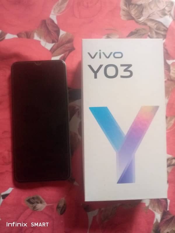 Vivo Y03 1