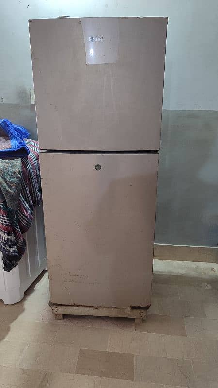 Haier fridge medium size. 0