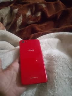 Vivo