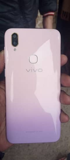 VIVO