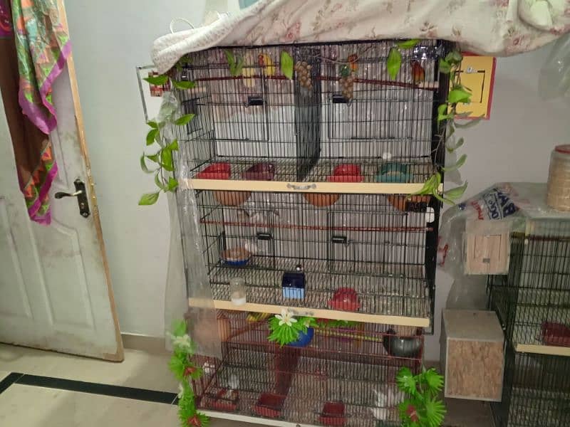 selling my different types of birds including cages 1