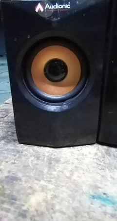 Woofer Speaker