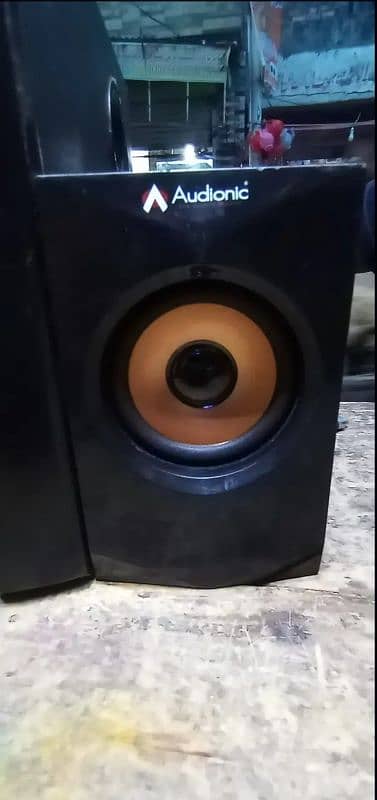 Woofer Speaker 1