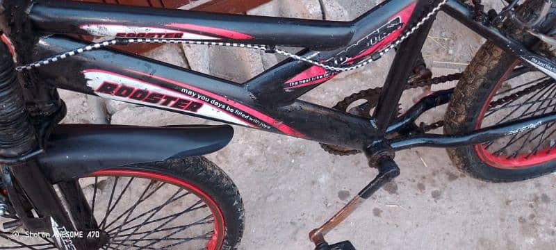 cycle good condition,cycle size 20 inch all oky 1