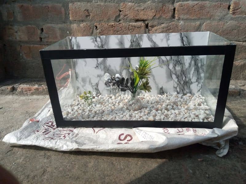 small fish house 10 by 10 new Fish Aquarium. 03164002582 0