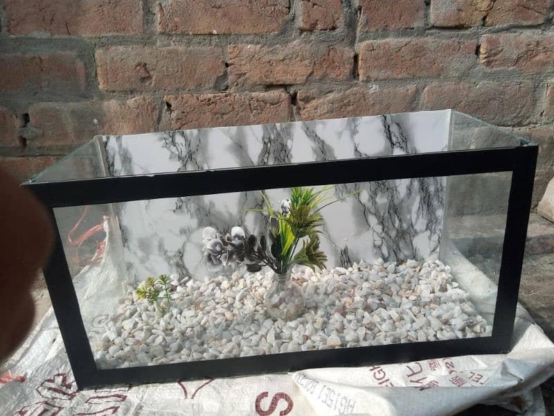 small fish house 10 by 10 new Fish Aquarium. 03164002582 2