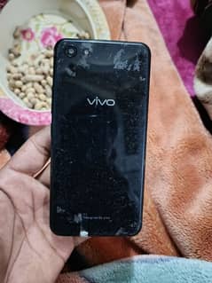 vivo