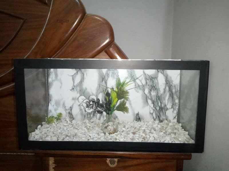 small fish house 10 by 10 new Fish Aquarium. 03164002582 3