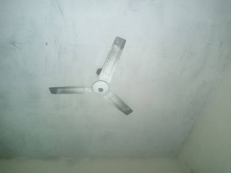 less used new condition Royal fan 0