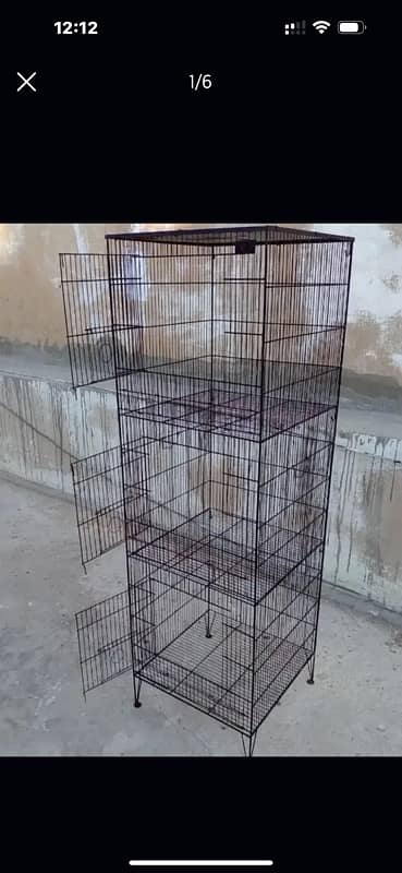 love birds with cage 0