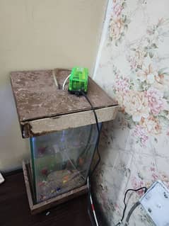 Fish Equirium for urgent sale