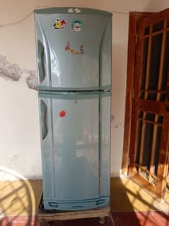 pel fridge double door in good condition