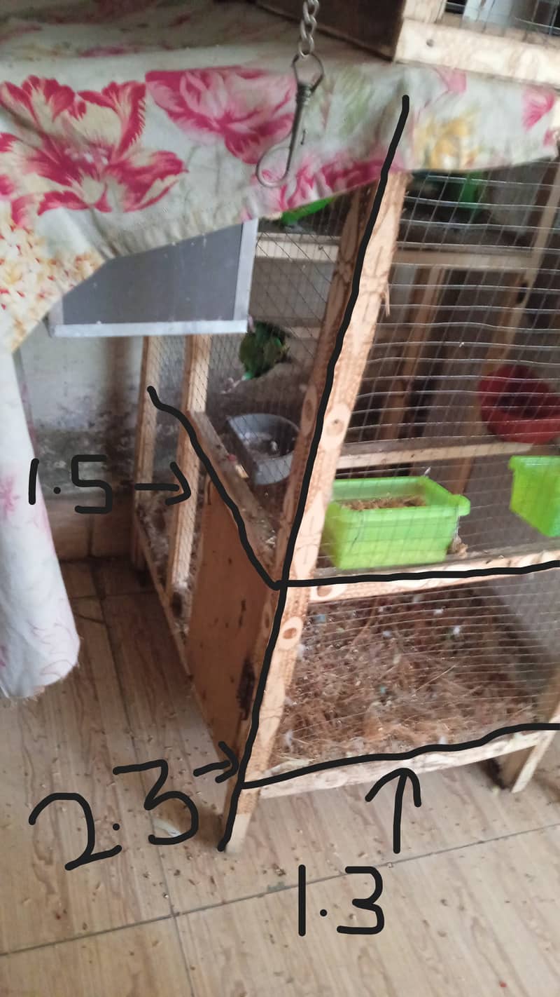 Love Birds + Finches + Australians + Cages - all for sale in Lahore 19