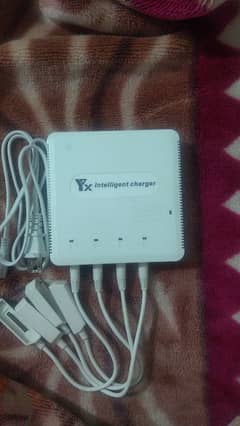 intelligent charger