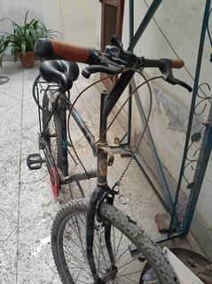 Cycle for sale