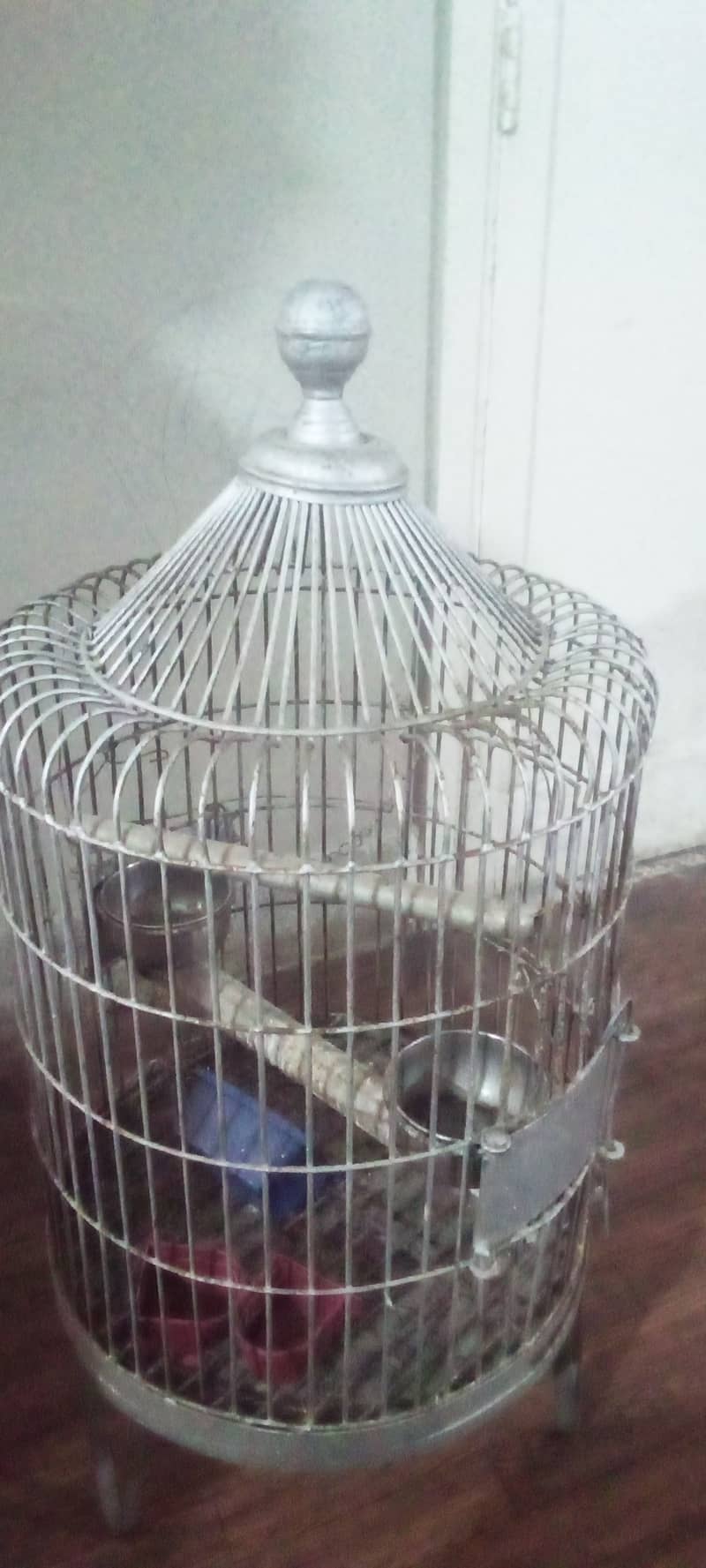 parrot ka pinjra 0