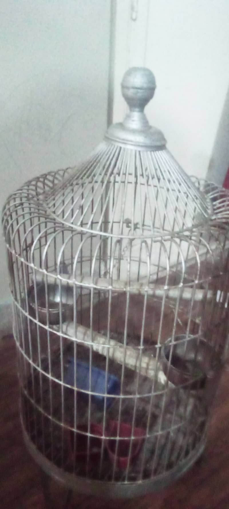 parrot ka pinjra 1