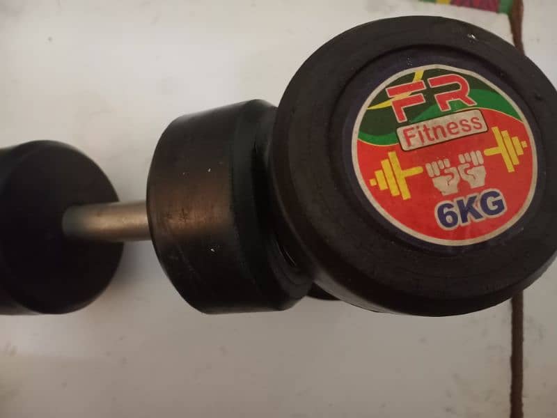 FR Fitness 6kg dumbbells set for sell 0