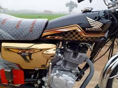 CG 125 gold edition 24/25.03068420481