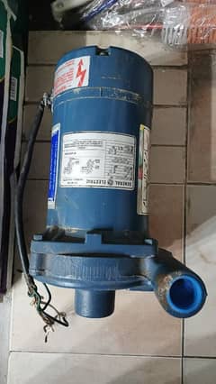 1/2 horse power pump general USA