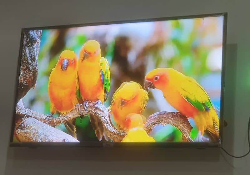 TCL Original Android LED TV 40 Inch 5