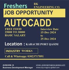 AutoCAD Designer Male/Female Remotely