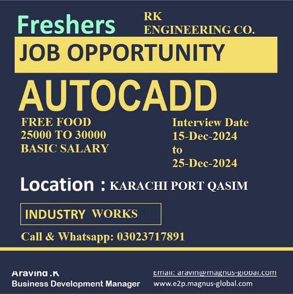 AutoCAD Designer Male/Female Remotely 0