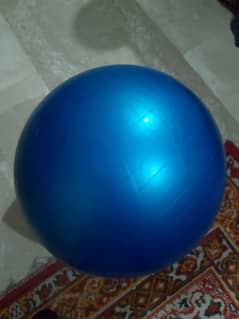 Yoga Ball/Gym Ball