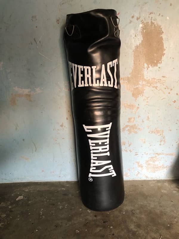 Punching bag 0