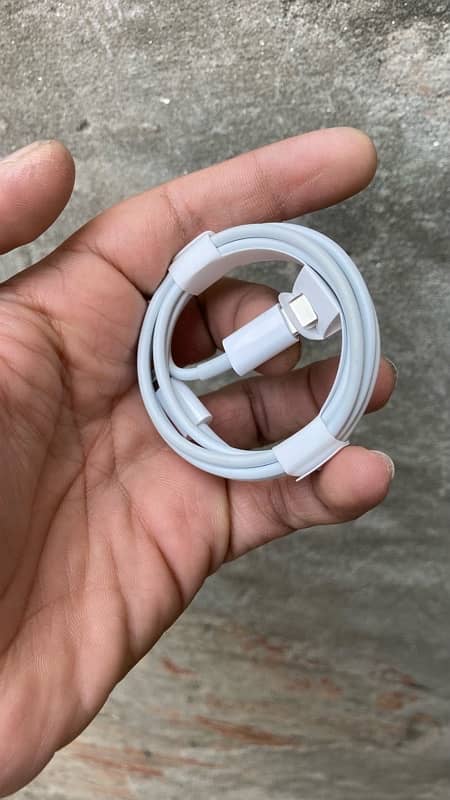 iPhone SE 2022 Box Pulled C to Lightning Cable 1