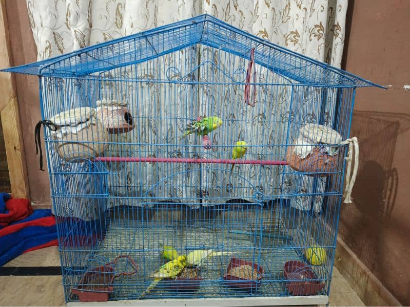 8 parrots with frame 0