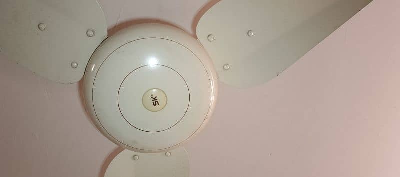 sk and gfc ceiling fan in bulk sale 0