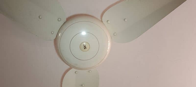 sk and gfc ceiling fan in bulk sale 1